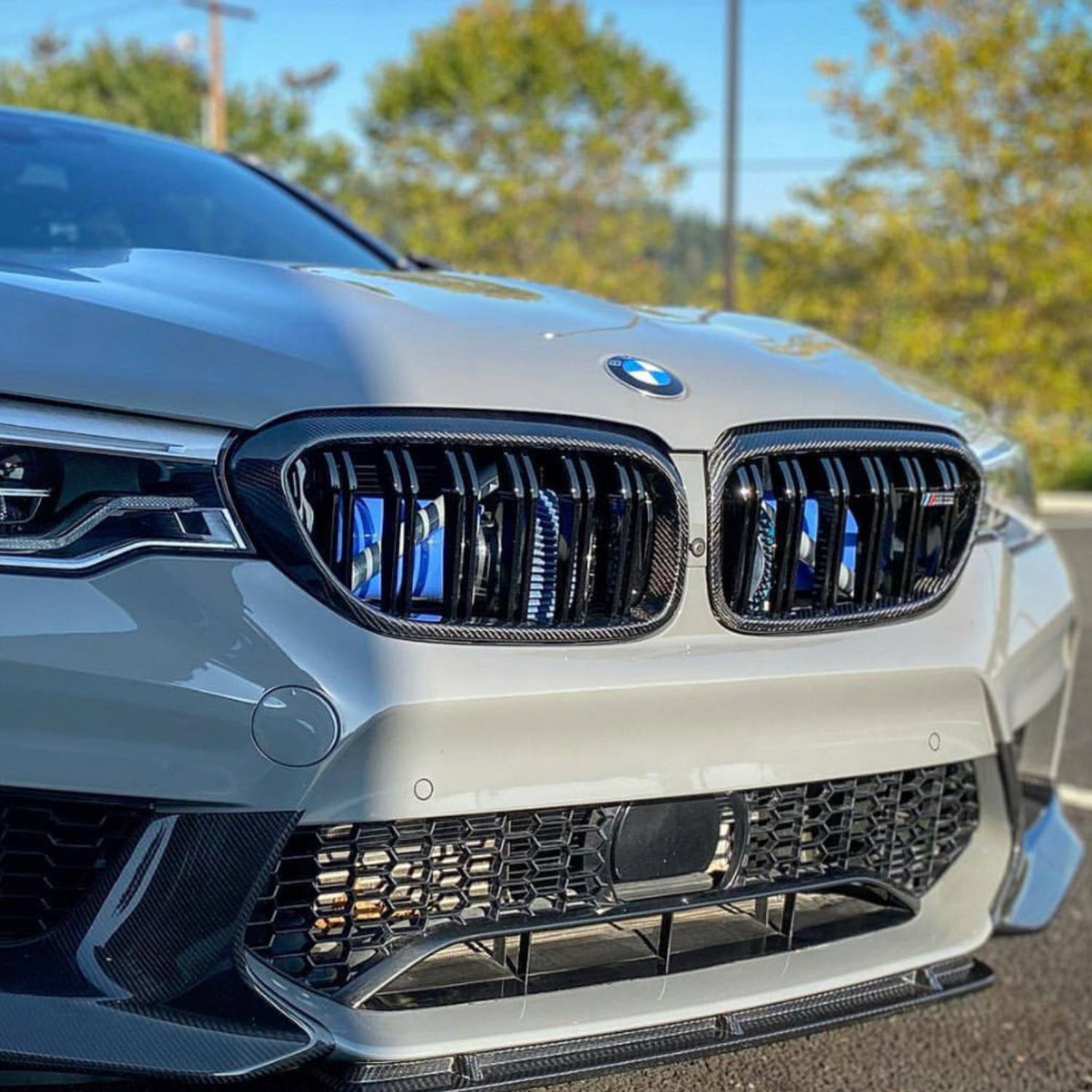 BMW 5er G30 und M5 F90 Carbon Doppelter Lamellen Nieren Grill (2017-2020)