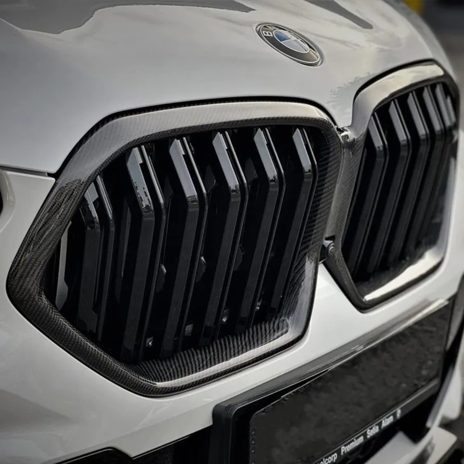 BMW X6/X6M G06/F96 Carbon Doppellamellen Nieren Grill (2019-2022)